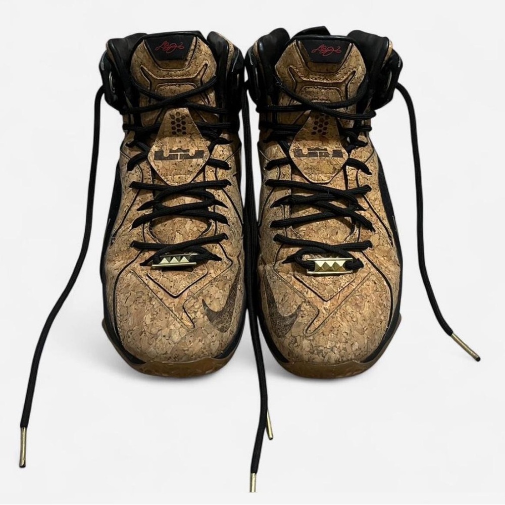 Nike LeBron 12 EXT